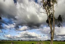 “WTT重庆冠军赛：中国队提前锁定男女单打冠军”.