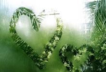 黑白体育：出征世界杯前两站及四大洲赛 中国短道速滑进入“实战模式”工人日报.